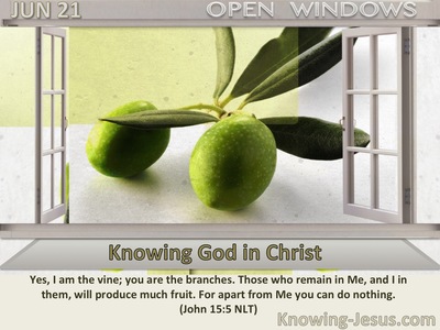 Knowing God in Christ